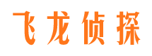 金水飞龙私家侦探公司